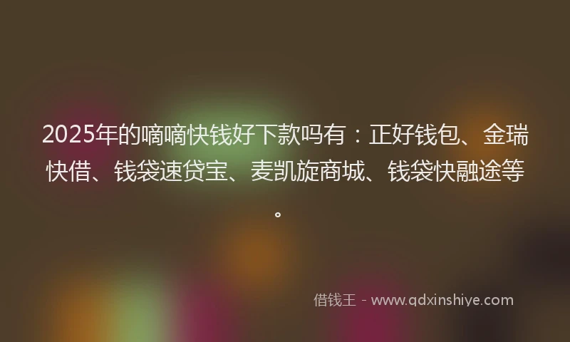 2025年的嘀嘀快钱好下款吗有：正好钱包、金瑞快借、钱袋速贷宝、麦凯旋商城、钱袋快融途等。