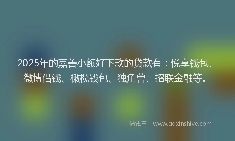 2025年的嘉善小额好下款的贷款有：悦享钱包、微博借钱、橄榄钱包、独角兽、招联金融等。