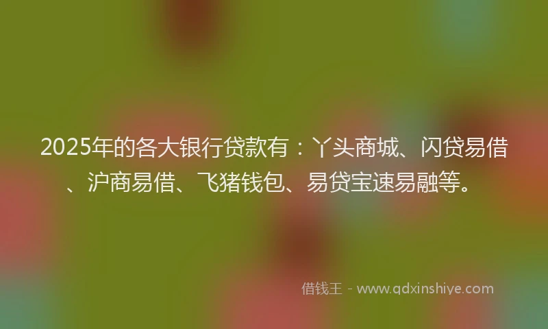 2025年的各大银行贷款有：丫头商城、闪贷易借、沪商易借、飞猪钱包、易贷宝速易融等。