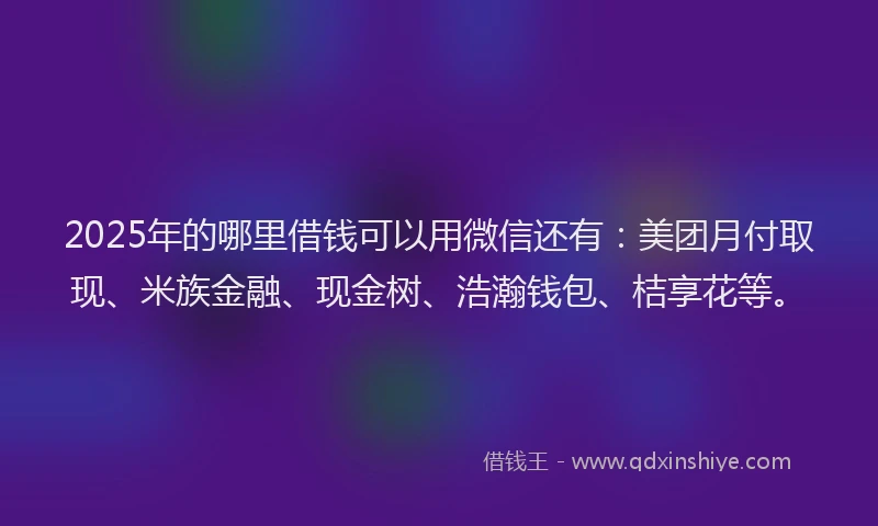 2025年的哪里借钱可以用微信还有：美团月付取现、米族金融、现金树、浩瀚钱包、桔享花等。