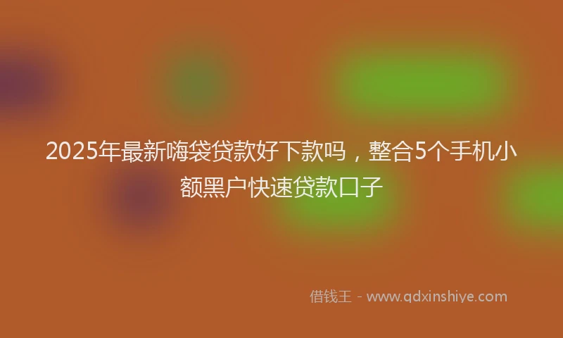 2025年最新嗨袋贷款好下款吗，整合5个手机小额黑户快速贷款口子