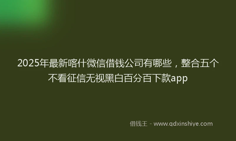 2025年最新喀什微信借钱公司有哪些，整合五个不看征信无视黑白百分百下款app