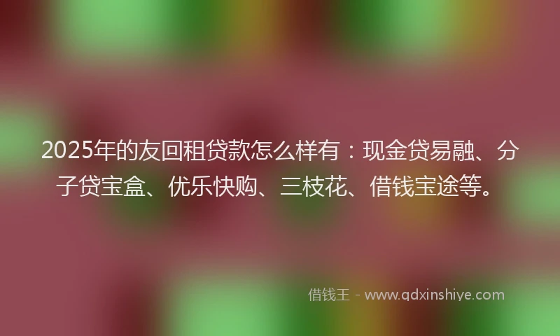 2025年的友回租贷款怎么样有：现金贷易融、分子贷宝盒、优乐快购、三枝花、借钱宝途等。