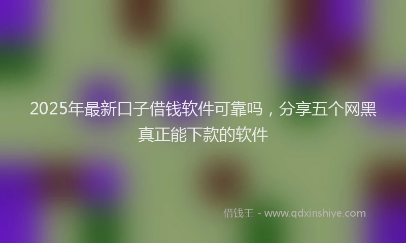 2025年最新口子借钱软件可靠吗，分享五个网黑真正能下款的软件