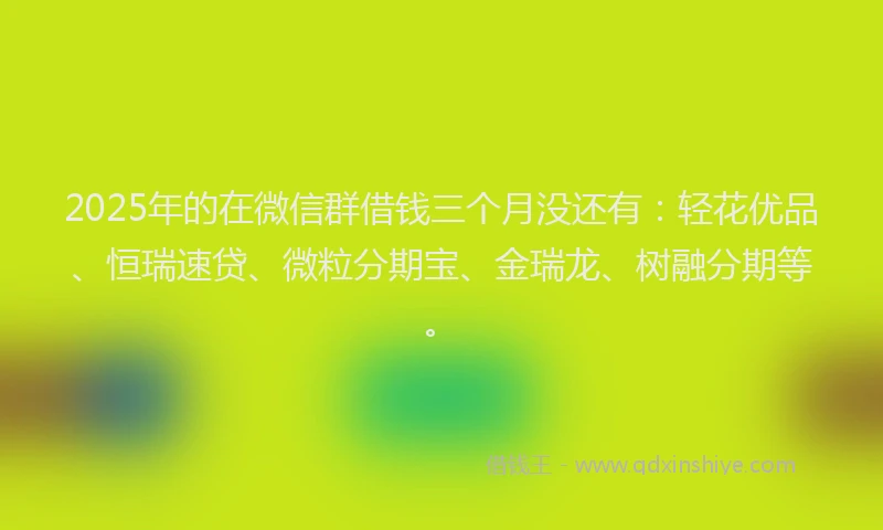 2025年的在微信群借钱三个月没还有：轻花优品、恒瑞速贷、微粒分期宝、金瑞龙、树融分期等。