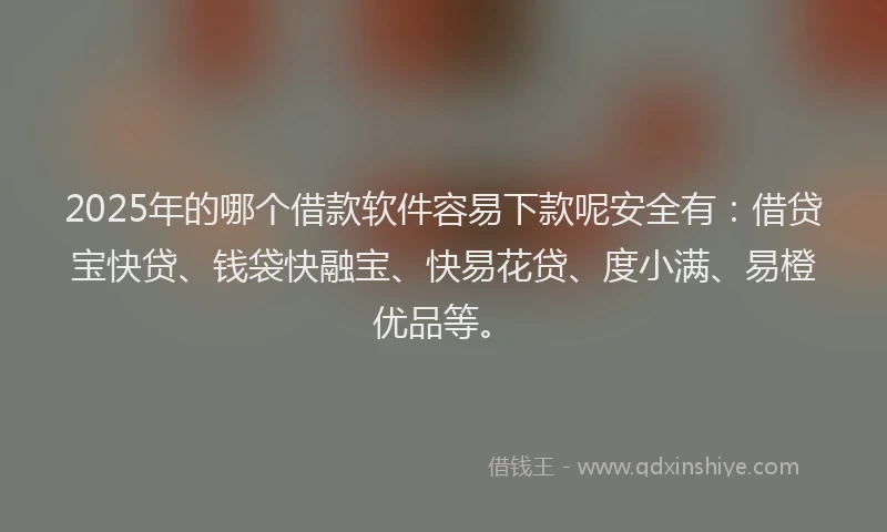 2025年的哪个借款软件容易下款呢安全有：借贷宝快贷、钱袋快融宝、快易花贷、度小满、易橙优品等。