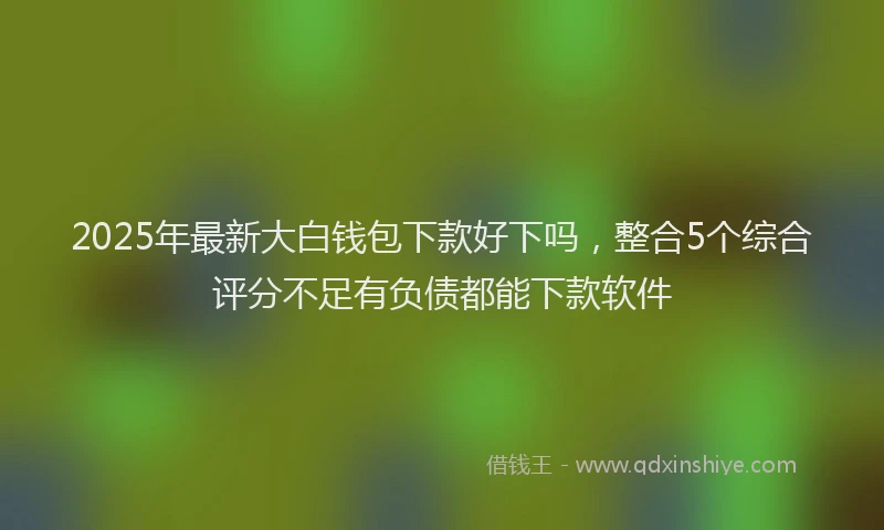 2025年最新大白钱包下款好下吗，整合5个综合评分不足有负债都能下款软件