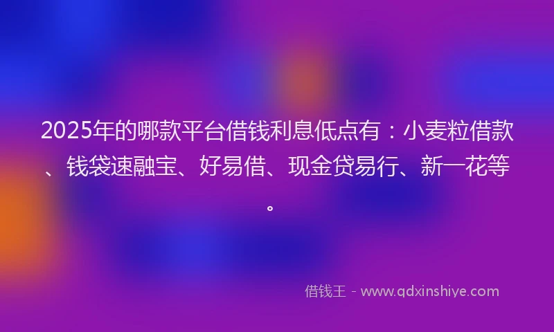 2025年的哪款平台借钱利息低点有：小麦粒借款、钱袋速融宝、好易借、现金贷易行、新一花等。