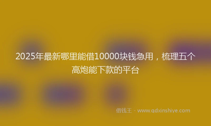 2025年最新哪里能借10000块钱急用，梳理五个高炮能下款的平台