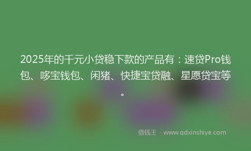 2025年的千元小贷稳下款的产品有：速贷Pro钱包、哆宝钱包、闲猪、快捷宝贷融、星愿贷宝等。