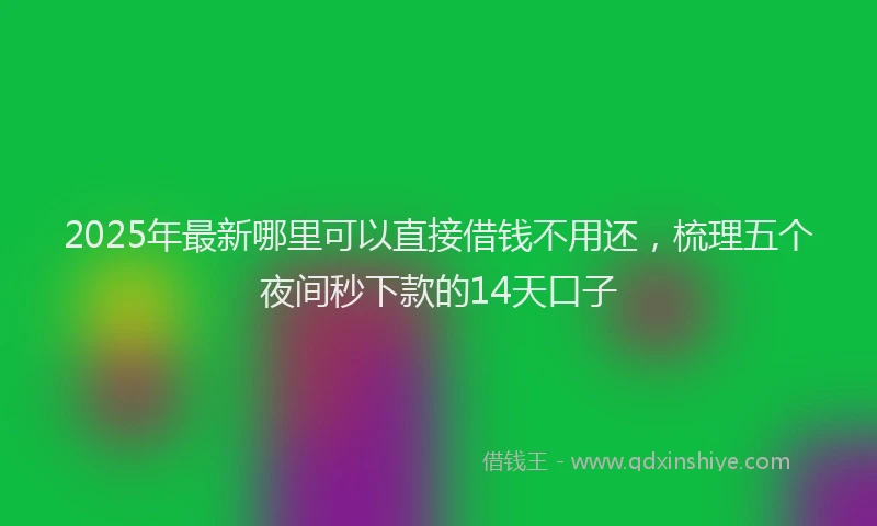 2025年最新哪里可以直接借钱不用还，梳理五个夜间秒下款的14天口子