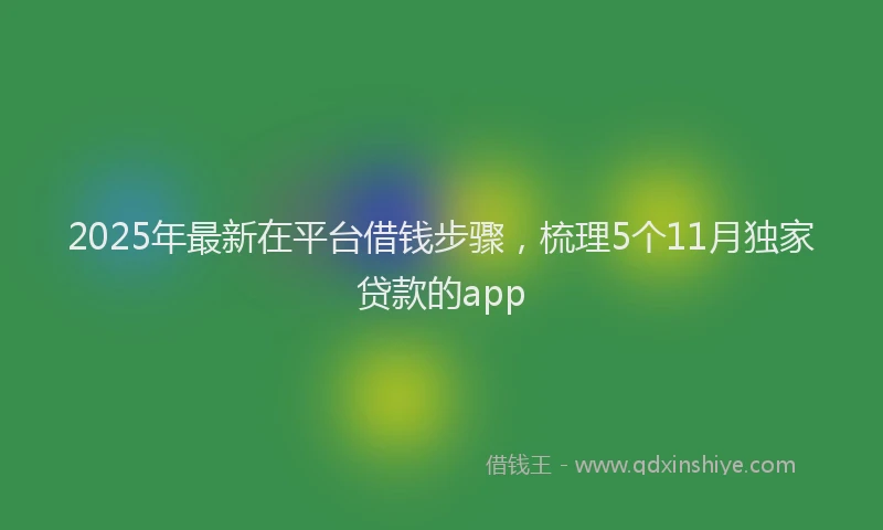 2025年最新在平台借钱步骤，梳理5个11月独家贷款的app
