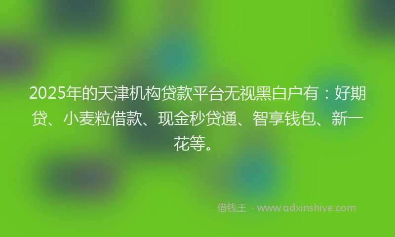 2025年的天津机构贷款平台无视黑白户有：好期贷、小麦粒借款、现金秒贷通、智享钱包、新一花等。