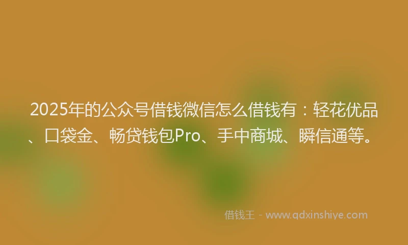 2025年的公众号借钱微信怎么借钱有：轻花优品、口袋金、畅贷钱包Pro、手中商城、瞬信通等。