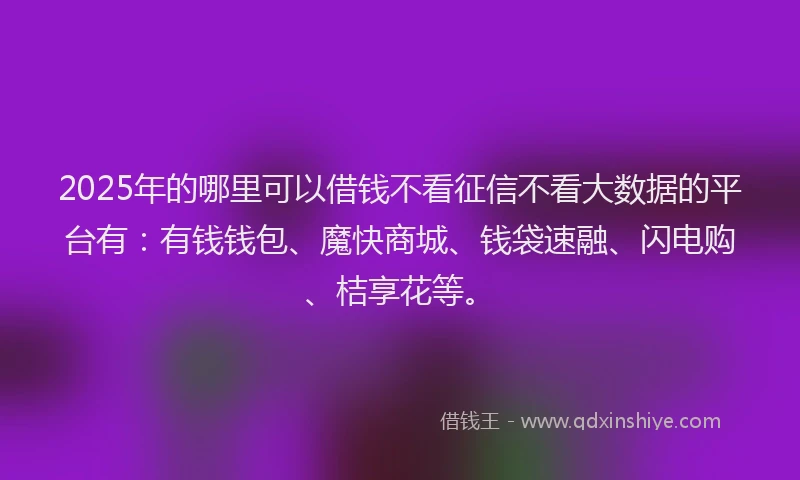 2025年的哪里可以借钱不看征信不看大数据的平台有：有钱钱包、魔快商城、钱袋速融、闪电购、桔享花等。