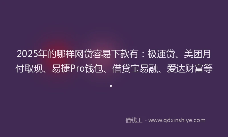 2025年的哪样网贷容易下款有：极速贷、美团月付取现、易捷Pro钱包、借贷宝易融、爱达财富等。