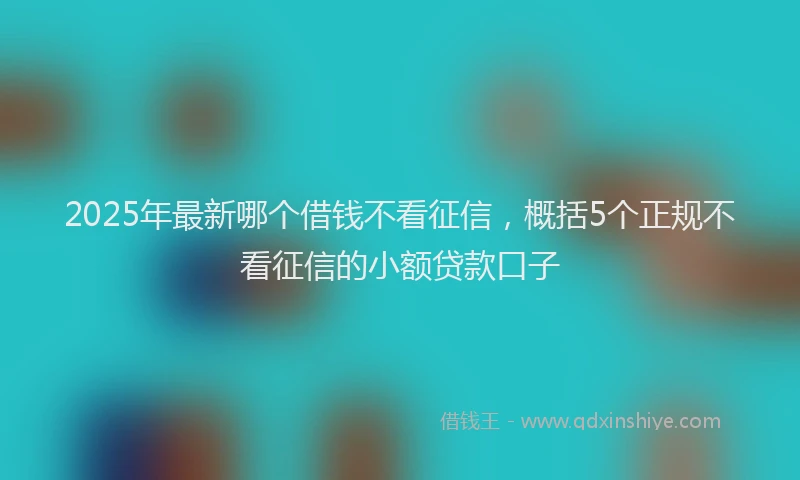 2025年最新哪个借钱不看征信，概括5个正规不看征信的小额贷款口子
