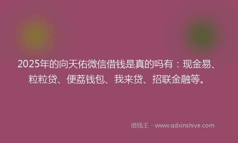 2025年的向天佑微信借钱是真的吗有：现金易、粒粒贷、便荔钱包、我来贷、招联金融等。