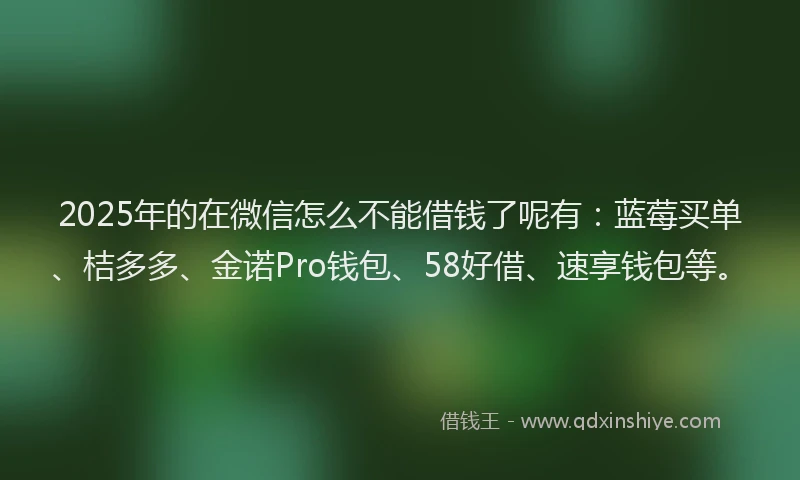 2025年的在微信怎么不能借钱了呢有：蓝莓买单、桔多多、金诺Pro钱包、58好借、速享钱包等。