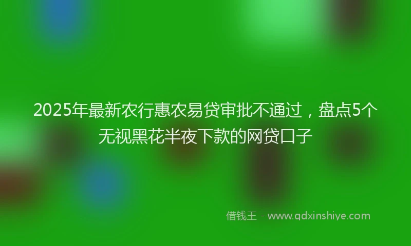 2025年最新农行惠农易贷审批不通过，盘点5个无视黑花半夜下款的网贷口子