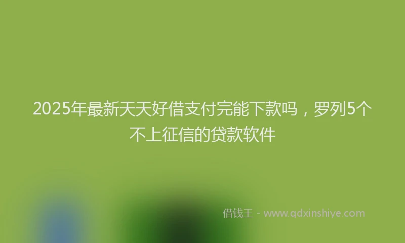 2025年最新天天好借支付完能下款吗，罗列5个不上征信的贷款软件
