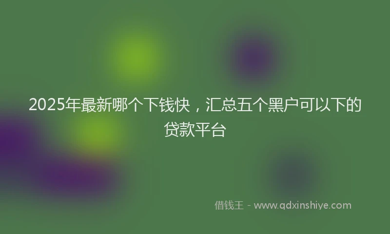 2025年最新哪个下钱快，汇总五个黑户可以下的贷款平台