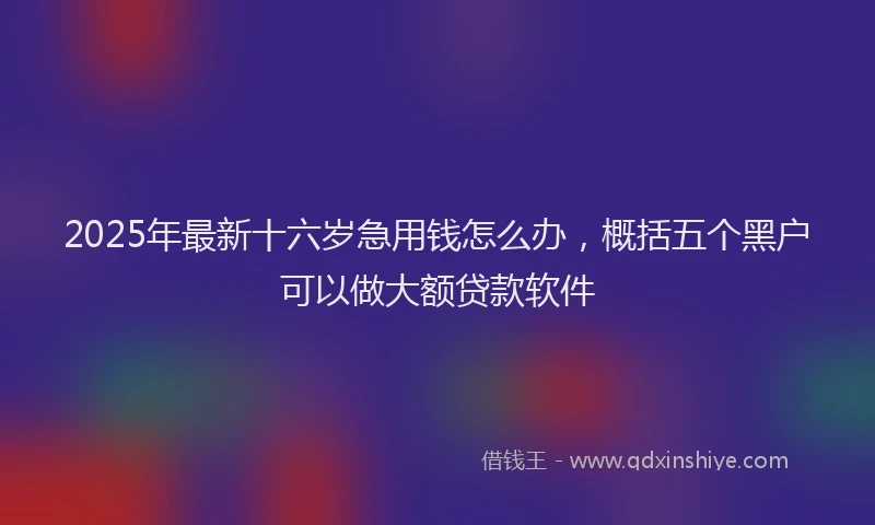 2025年最新十六岁急用钱怎么办，概括五个黑户可以做大额贷款软件