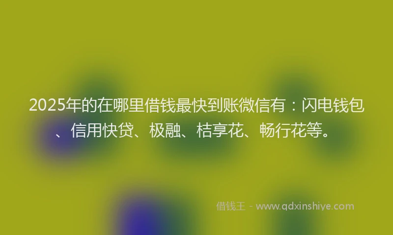 2025年的在哪里借钱最快到账微信有：闪电钱包、信用快贷、极融、桔享花、畅行花等。