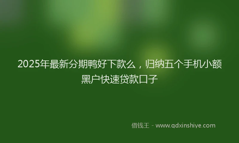 2025年最新分期鸭好下款么，归纳五个手机小额黑户快速贷款口子