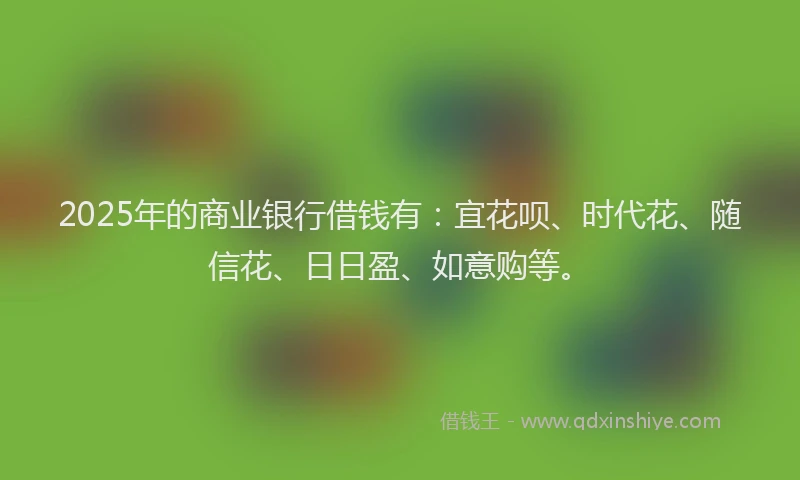 2025年的商业银行借钱有：宜花呗、时代花、随信花、日日盈、如意购等。