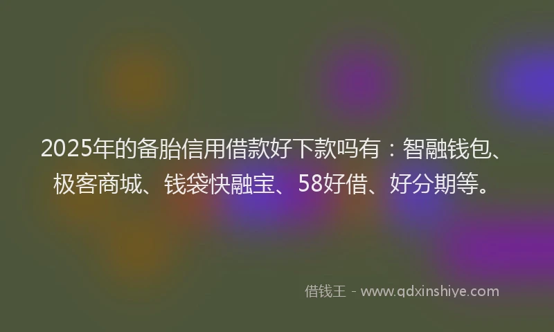 2025年的备胎信用借款好下款吗有：智融钱包、极客商城、钱袋快融宝、58好借、好分期等。