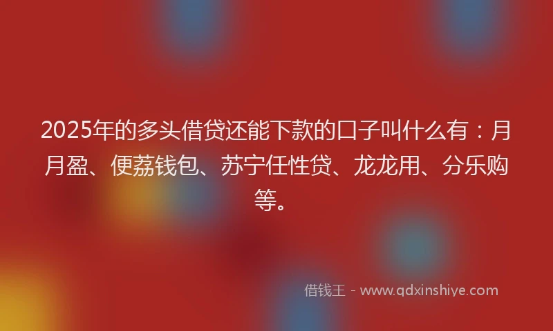 2025年的多头借贷还能下款的口子叫什么有：月月盈、便荔钱包、苏宁任性贷、龙龙用、分乐购等。