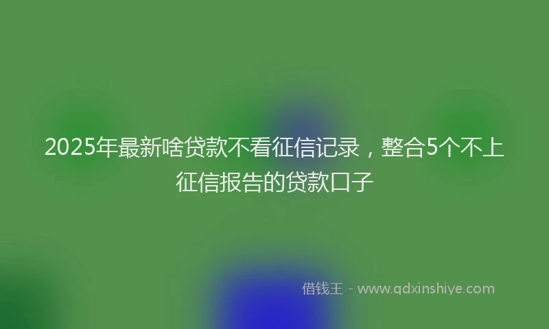 2025年最新啥贷款不看征信记录，整合5个不上征信报告的贷款口子