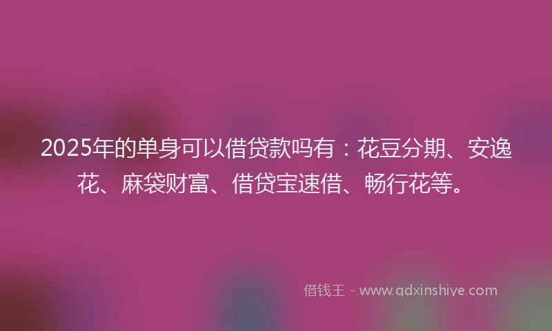 2025年的单身可以借贷款吗有：花豆分期、安逸花、麻袋财富、借贷宝速借、畅行花等。