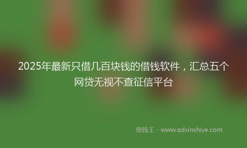 2025年最新只借几百块钱的借钱软件，汇总五个网贷无视不查征信平台