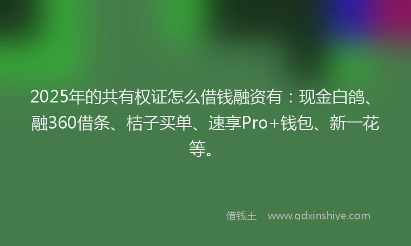 2025年的共有权证怎么借钱融资有：现金白鸽、融360借条、桔子买单、速享Pro+钱包、新一花等。