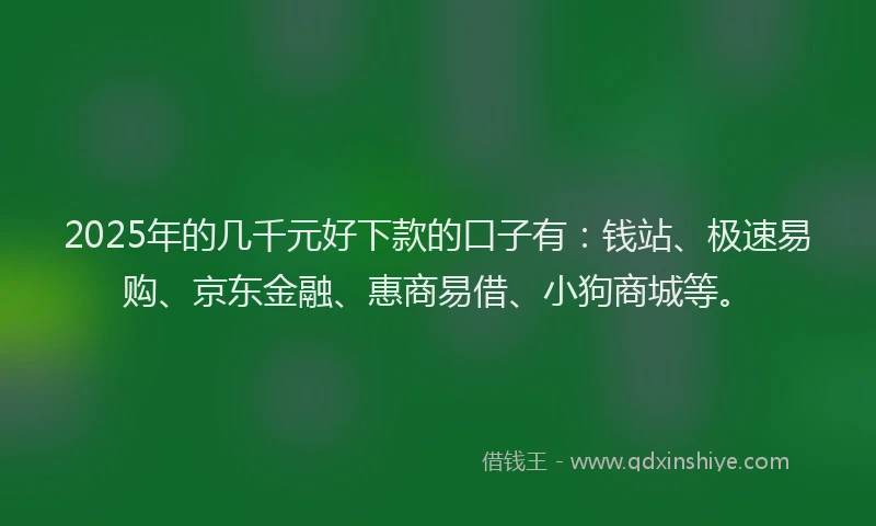 2025年的几千元好下款的口子有：钱站、极速易购、京东金融、惠商易借、小狗商城等。