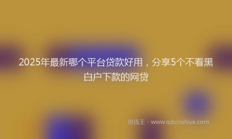 2025年最新哪个平台贷款好用，分享5个不看黑白户下款的网贷