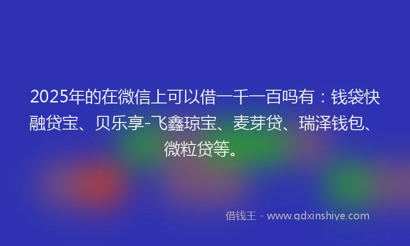 2025年的在微信上可以借一千一百吗有：钱袋快融贷宝、贝乐享-飞鑫琼宝、麦芽贷、瑞泽钱包、微粒贷等。
