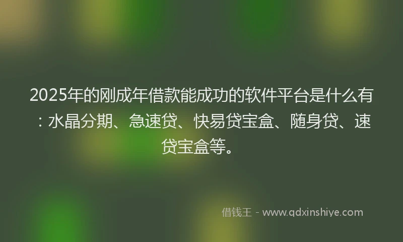 2025年的刚成年借款能成功的软件平台是什么有：水晶分期、急速贷、快易贷宝盒、随身贷、速贷宝盒等。