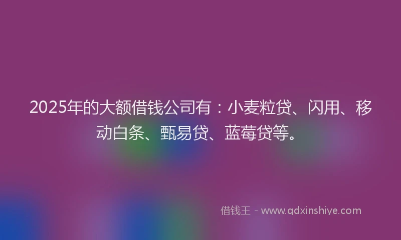 2025年的大额借钱公司有：小麦粒贷、闪用、移动白条、甄易贷、蓝莓贷等。