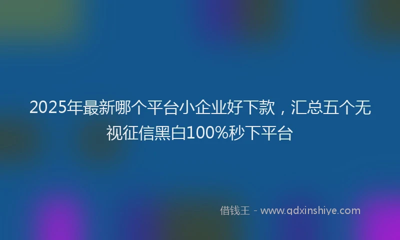 2025年最新哪个平台小企业好下款，汇总五个无视征信黑白100%秒下平台