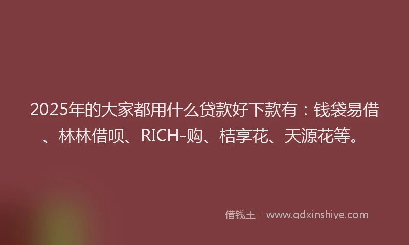 2025年的大家都用什么贷款好下款有：钱袋易借、林林借呗、RICH-购、桔享花、天源花等。