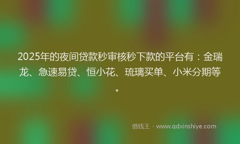 2025年的夜间贷款秒审核秒下款的平台有：金瑞龙、急速易贷、恒小花、琉璃买单、小米分期等。