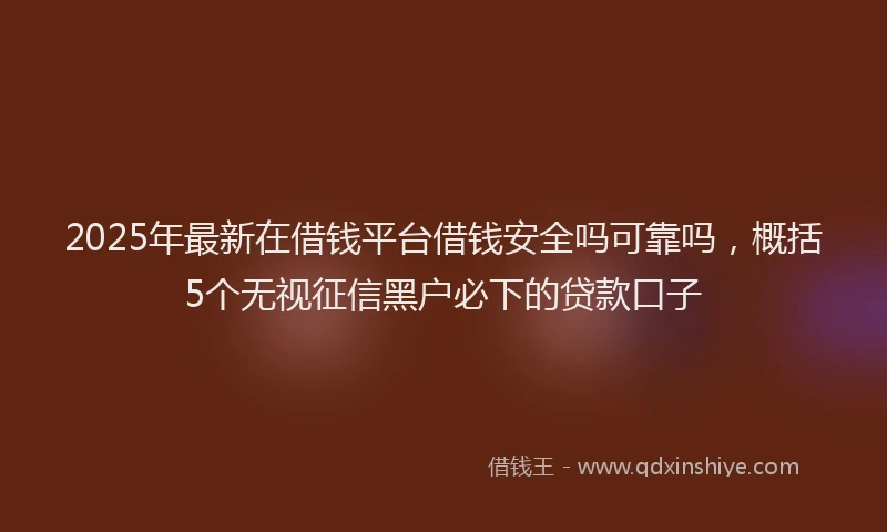 2025年最新在借钱平台借钱安全吗可靠吗，概括5个无视征信黑户必下的贷款口子