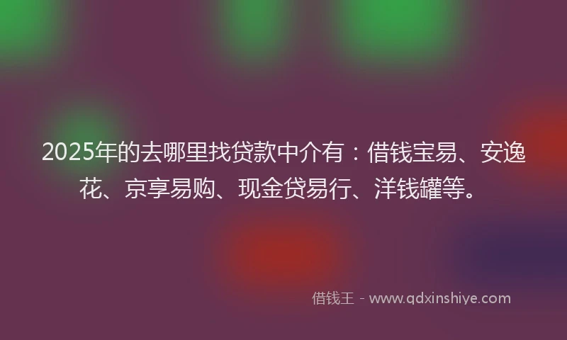 2025年的去哪里找贷款中介有：借钱宝易、安逸花、京享易购、现金贷易行、洋钱罐等。