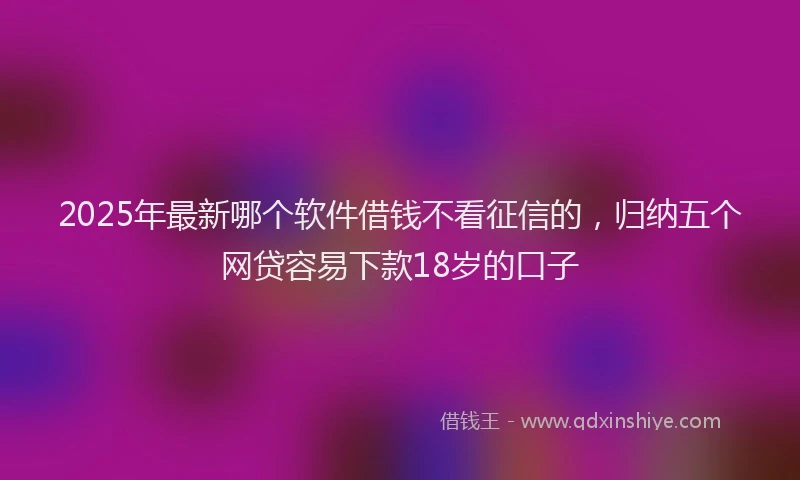 2025年最新哪个软件借钱不看征信的，归纳五个网贷容易下款18岁的口子