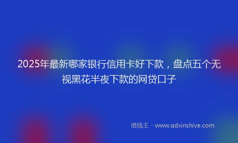 2025年最新哪家银行信用卡好下款，盘点五个无视黑花半夜下款的网贷口子