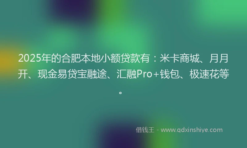 2025年的合肥本地小额贷款有：米卡商城、月月开、现金易贷宝融途、汇融Pro+钱包、极速花等。