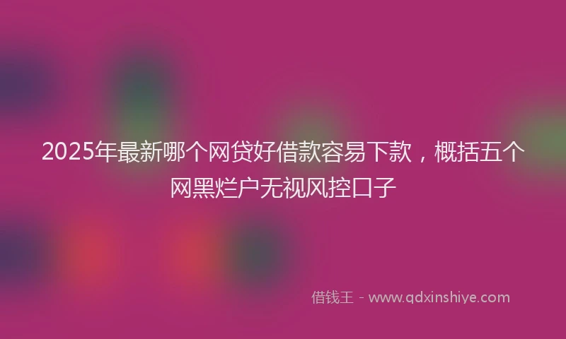2025年最新哪个网贷好借款容易下款，概括五个网黑烂户无视风控口子